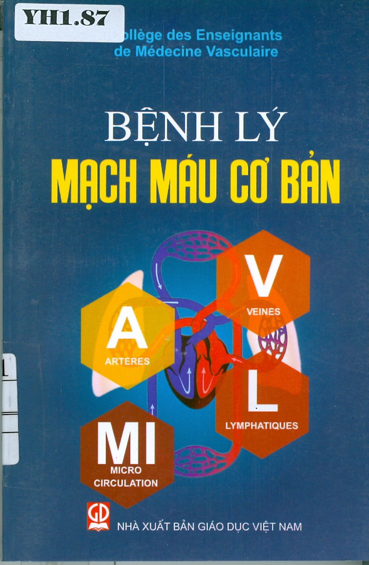 Bệnh lý mạch máu cơ bản
Tĩnh mạch- Động mạch- Bạch mạch- Vi tuần hoàn