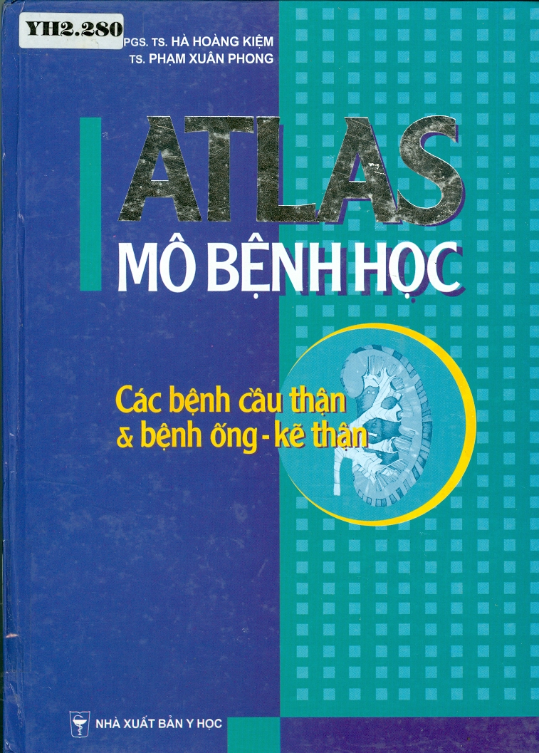 Atlas mô bệnh học
Các bệnh cầu thận & bệnh ống- kẽ thân