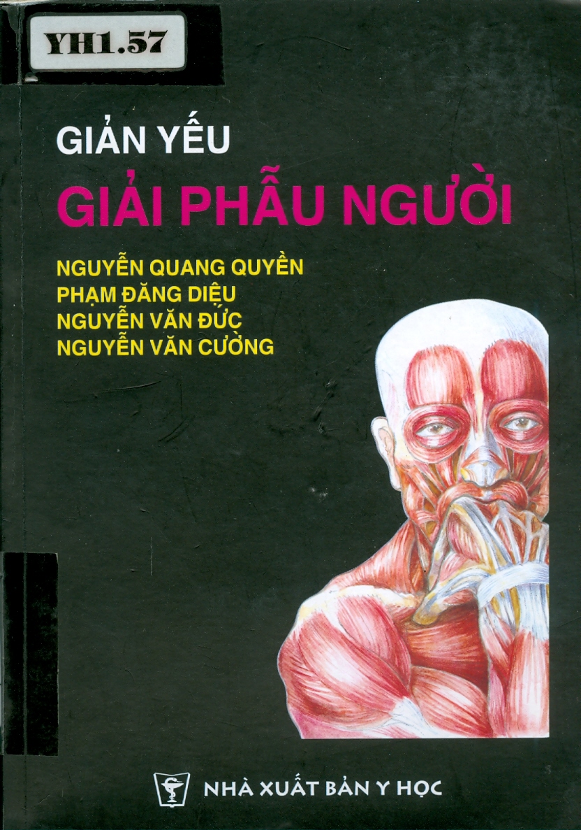 Giản yếu
Giải phẫu người