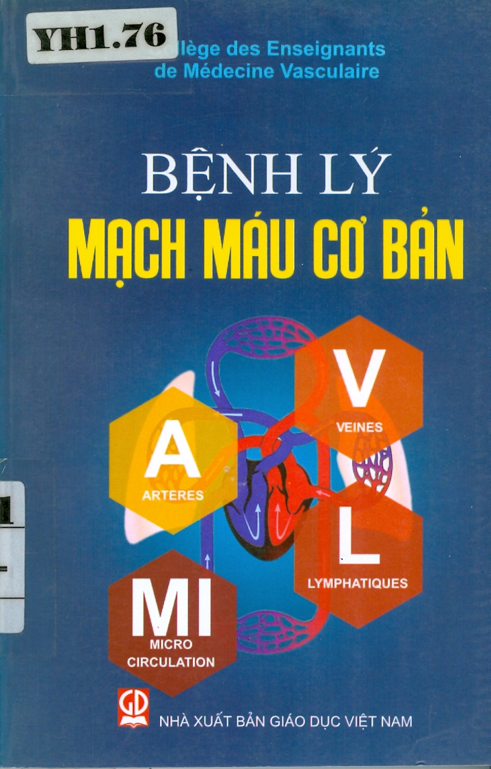 Bệnh lý mạch máu cơ bản
Tĩnh mạch- Động mạch- Bạch mạch- Vi tuần hoàn